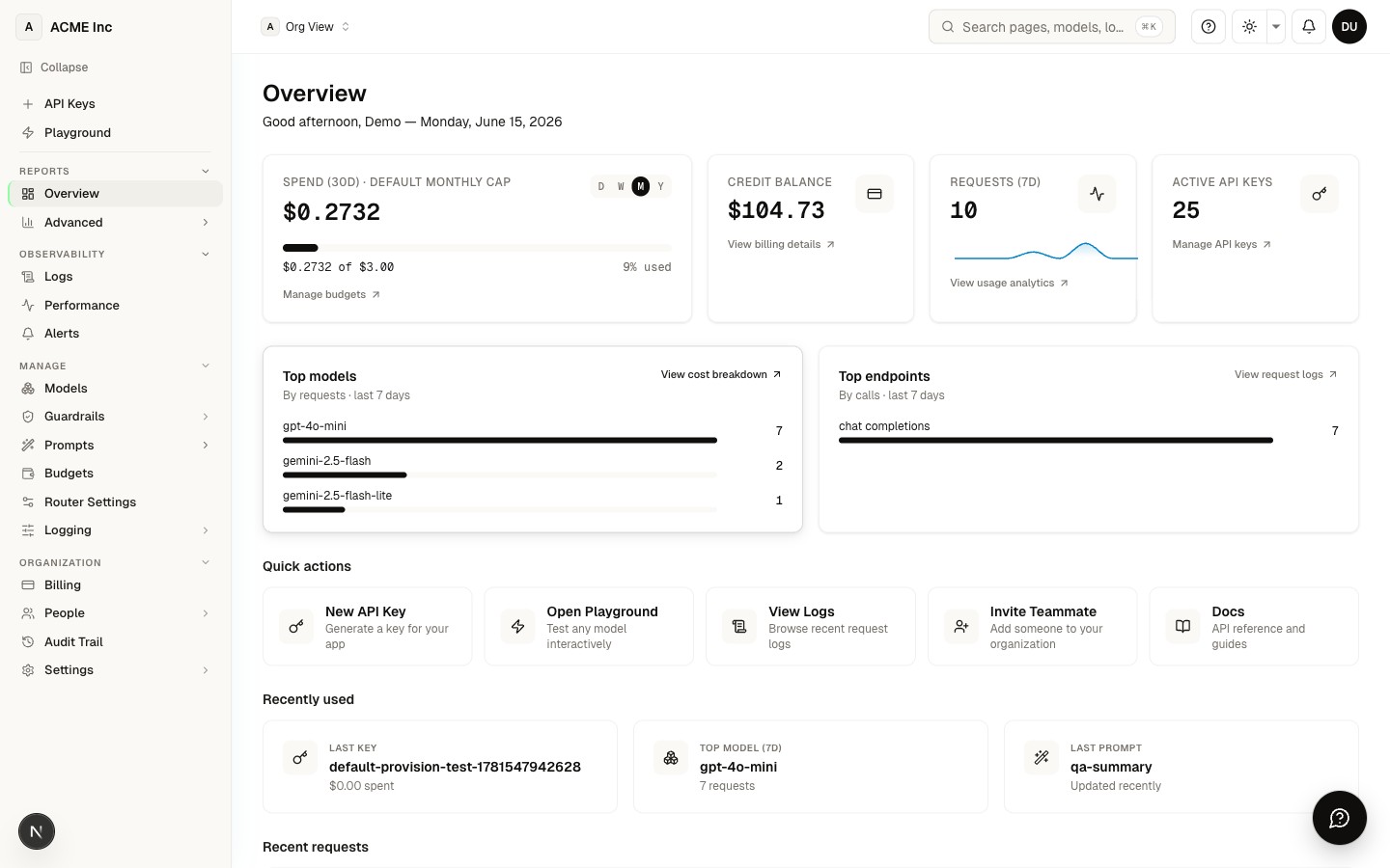 Dashboard home — balance, keys, and activity at a glance