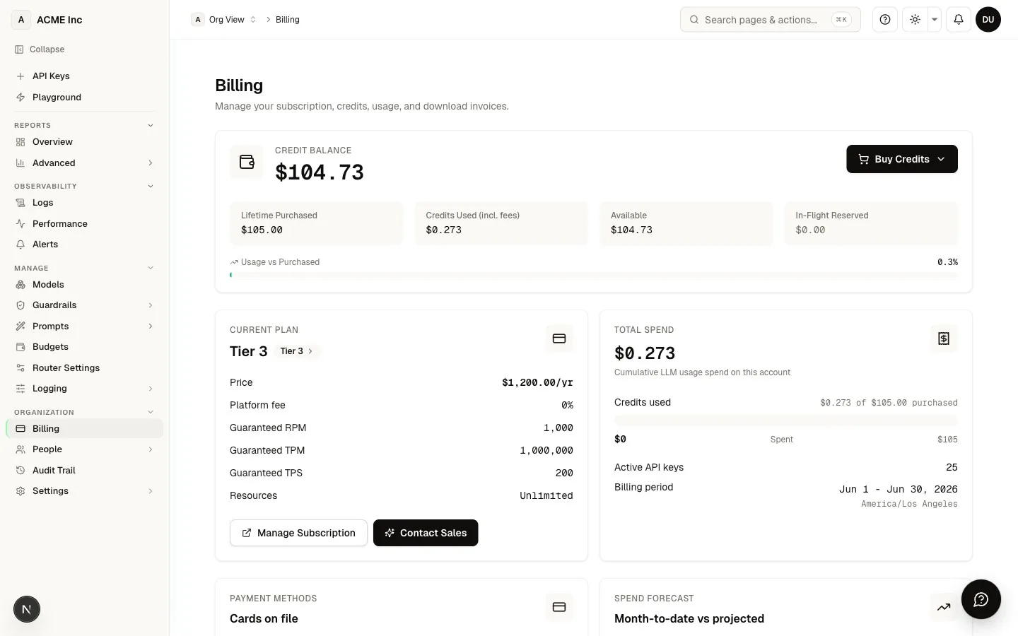 Billing dashboard at /[organization]/billing — available credits and plan management